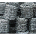 Hot Sale Galvanized Coated Double Stranded Barbed Wire